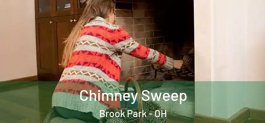  Chimney Sweep Brook Park - OH