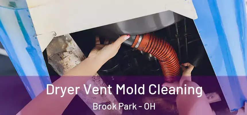  Dryer Vent Mold Cleaning Brook Park - OH
