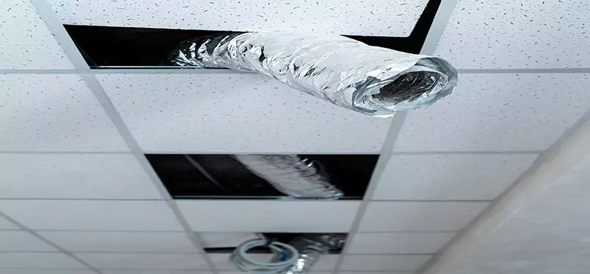 Our Air Duct Pet Hair Removal Services in Brook Park, OH