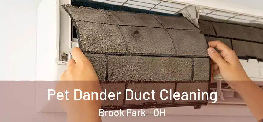  Pet Dander Duct Cleaning Brook Park - OH