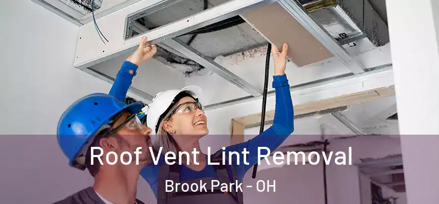  Roof Vent Lint Removal Brook Park - OH