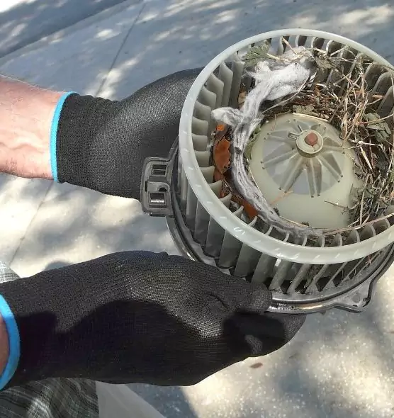 About Air Duct Mice Removal in Brook Park, OH