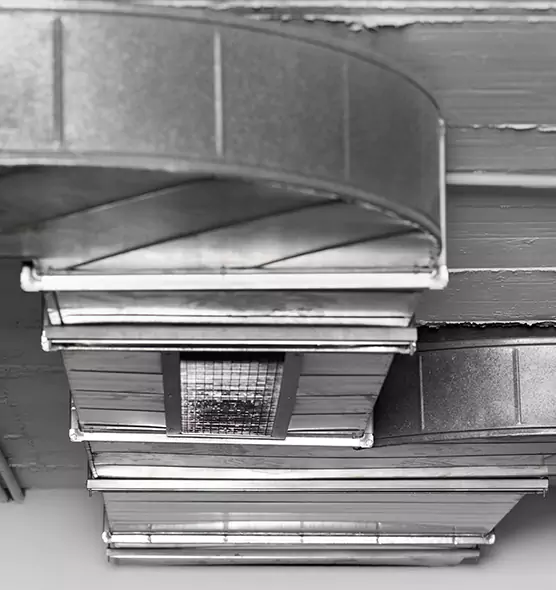 Professional Air Duct Pest Removal in Brook Park, OH