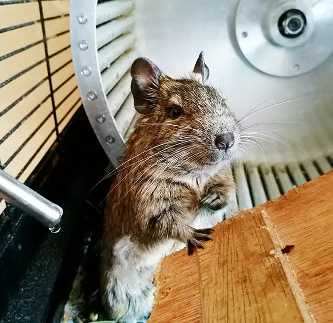 Why Homeowners & Businesses Trust Us Brook Park, OH